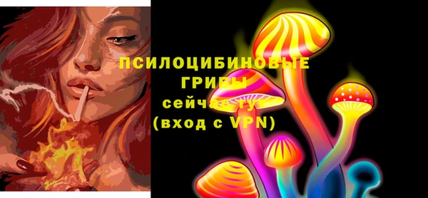 меф Белокуриха