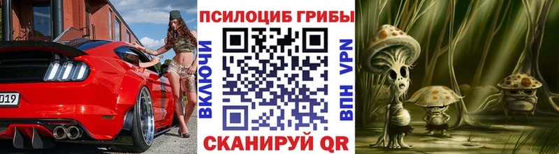 Галлюциногенные грибы MAGIC MUSHROOMS  Купить закладки  Железноводск 