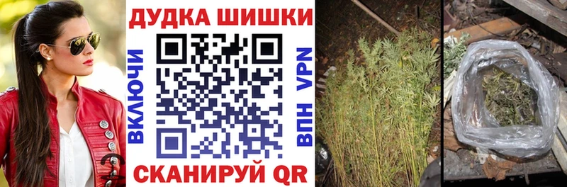 Бошки Шишки сатива  Купить закладки  Железноводск 